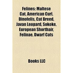 Feline Introduction: Maltese Cat, American Curl, Dinofelis, Cat Breed, Javan Leopard, Sokoke, European Shorthair, Felinae, Dwarf Cats