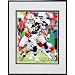 Photo File Dallas Cowboys Jason Witten Framed Photo