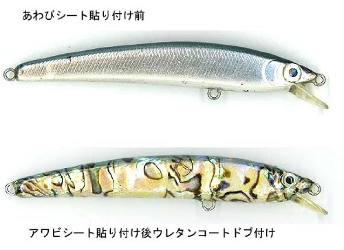 あわび本舗 最高級アワビシート ニュージーランドアワビ/ナチュラル 小判