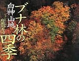 ブナ林の四季・白神山地