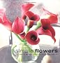 Simple Flowers