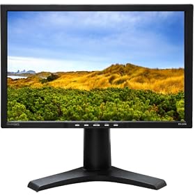DoubleSight DS-243N 24-Inch Widescreen LCD Monitor with Adjustable Stand