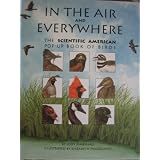 In the Air and Everywhere: The Scientific American Pop-Up Book of Birds ~ Jody Marshall