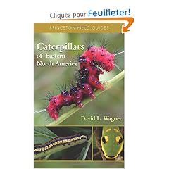 Caterpillars Of Eastern North America: A Guide To Identification And Natural History