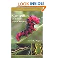 Caterpillars of Eastern North America: A Guide to Identification and Natural History