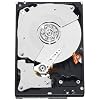 Western Digital 640 GB Caviar Black SATA 7200 RPM 32 MB Cache Bulk/OEM Desktop Hard Drive WD6401AALS
