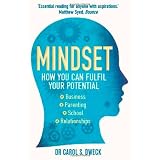 Mindset: How You Can Fulfill Your Potential