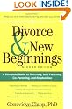 Divorce and New Beginnings: A Complete Guide to Recovery, Solo Parenting, Co-parenting and Stepfamilies