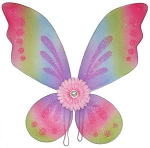 nylon   Pink how Wings with  Purple Dress Green Gerbera Rainbow to butterfly make wings Flower Nylon Butterfly