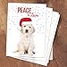 Canopy Street Labrador Love Holiday Card Pack / 25 Cards And Envelopes Pack/Festive Santa Hat Puppy Design With Greeting Inside/Dog Christmas And New Year Cards