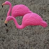 Rhode Island Novelty Yard Flamingos - Set of 2
