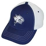 UNH Wildcats Zephyr Mesh Stretch-Fit Cap