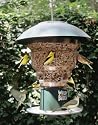Wild Bill's 8 Station Squirrel Proof Bird Feeder