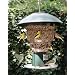 Wild Bill's 8 Station Squirrel Proof Bird Feeder