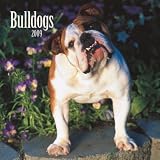 Bulldogs 2009 Square Wall Calendar