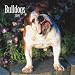 Bulldogs 2009 Square Wall Calendar