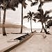 Paradise Found I Art Print Poster By Victor Giordano, 12 " x 12 "