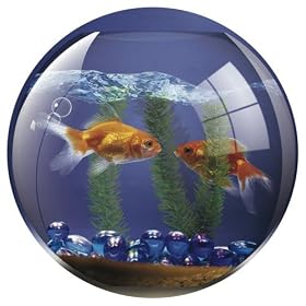 BRITE PAD - FISH BOWL