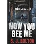 Now You See Me de S.J. Bolton