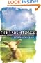 God Sightings: The One Year Companion Guide