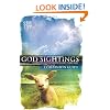 God Sightings: The One Year Companion Guide