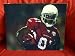 Anquan Boldin Autographed Arizona Cardinals 8x10 Photo, Proof Photo of Anquan Signing for Us.