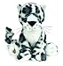 Webkinz Snow Leopard