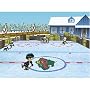 Backyard Hockey Backyard Hockey