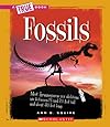 Fossils (True Books: Earth Science (Paperback))