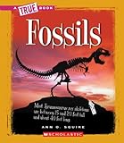 Fossils (True Books: Earth Science (Paperback))