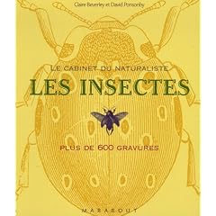 Les insectes