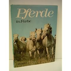 Anne Alcock: Pferde in