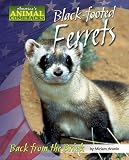 Black-footed Ferrets: Back from the Brink (America's Animal Comebacks)
