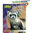Black-footed Ferrets: Back from the Brink (America's Animal Comebacks) by Miriam Aronin
