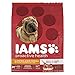 IAMS PROACTIVE HEALTH Adult Lamb Meal and Rice Dry Dog Food 12.5 Pounds