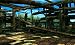 51exaJZE 6L. SL75 Buy Tekken 3D Prime Edition
