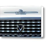 1959 Buick Lesabre Hood Ornament Canvas Print Canvas Art - Artist Jill Reger by Fine Art America