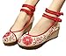 AvaCostume Women's Embroidery Strappy Round Toe Platform Wedges