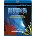 The Living Sea (IMAX)
