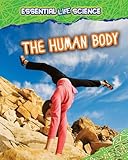 The human body