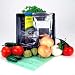 Mexican Salsa Garden Starter Kit - Grow Onions, Tomatos, Peppers, More