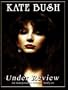 Kate Bush: Under Review