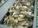 Colossal Grill Cut Tiger Shrimp, 8-12Ct, 2 LB Bag