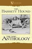 The Basset Hound - A Dog Anthology (A Vintage Dog Books Breed Classic)