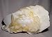Calcite - Angel Wing Calcite Natural Crystal Specimen - Mexico
