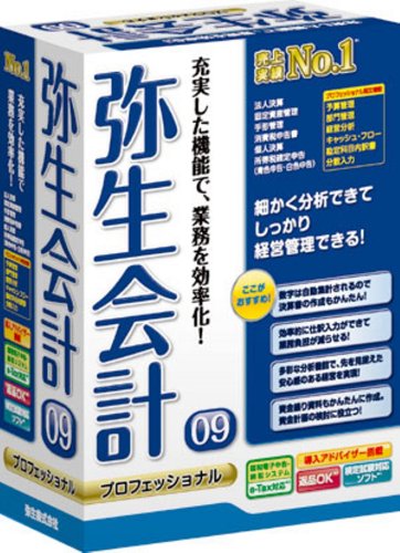 弥生会計 09 プロフェッショナル