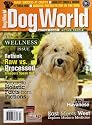 Dog World Magazine July 2008 Havanese