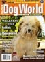 Dog World Magazine July 2008 Havanese