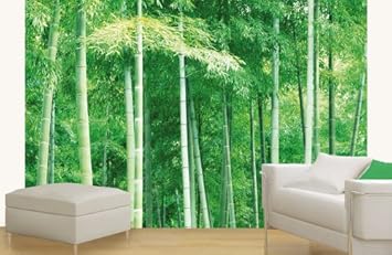 Platin Art Wall Mural Deco Wall Bamboo 8-Feet 4-Inch by 12-Feet