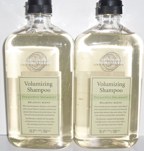 Bath & Body Works Aromatherapy Eucalyptus Spearmint, Volumizing Shampoo, 18.5 Fl Oz Ea. [Lot of 2]